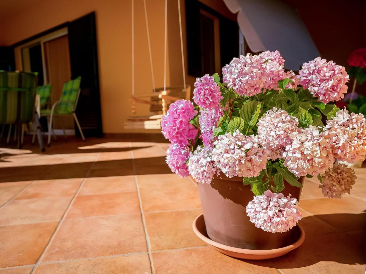 Holiday Home Mila By Interhome Kras Exterior foto